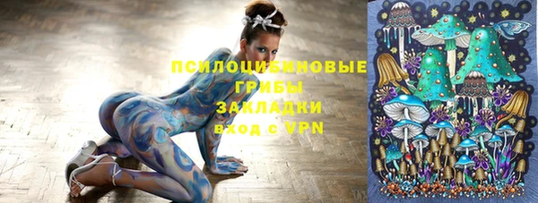 кокс Аркадак