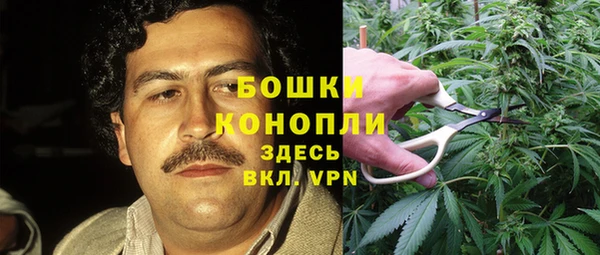 мескалин Богородицк