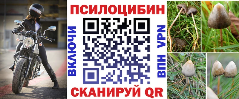 Псилоцибиновые грибы прущие грибы  магазин продажи наркотиков  дарк нет клад  Валуйки 