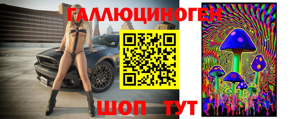 где купить наркоту  Галлюциногенные грибы Magic Shrooms  Вход с VPN  Псилоцибиновые грибы Psilocybine cubensis  Валуйки 