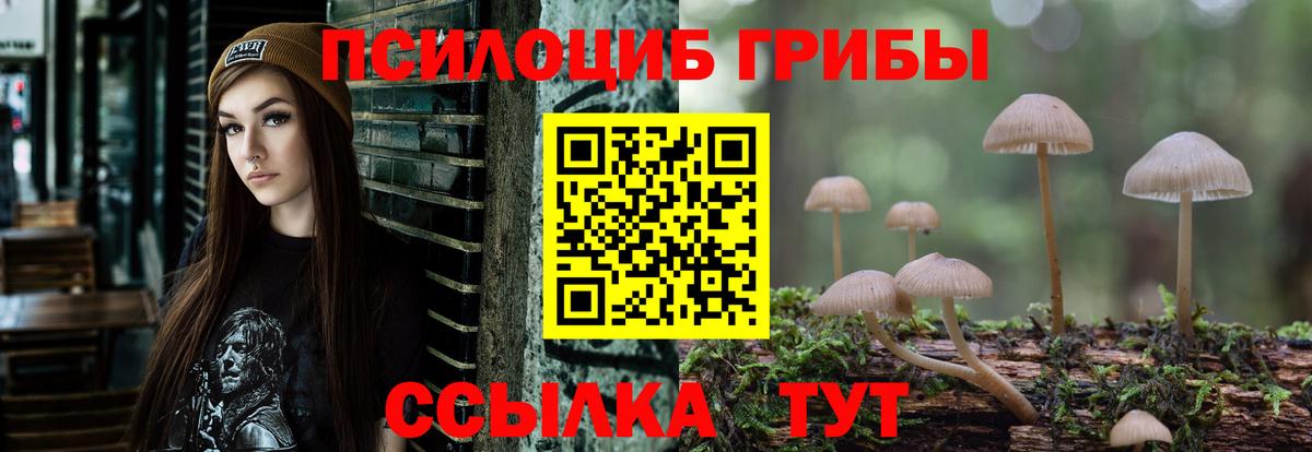 Галлюциногенные грибы MAGIC MUSHROOMS Валуйки