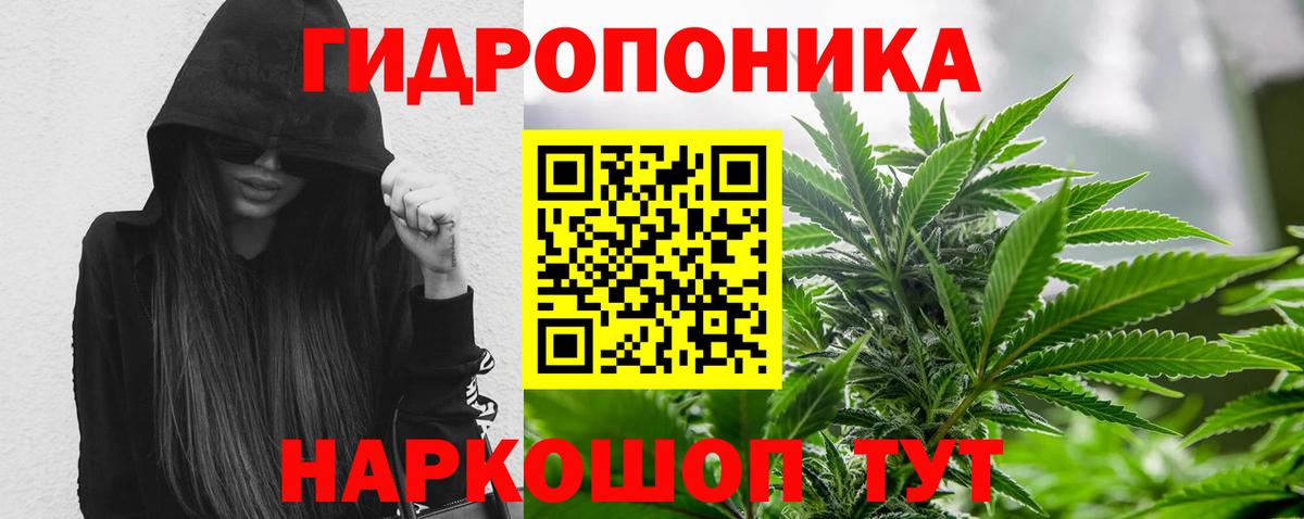 Марихуана сатива  Валуйки  Шишки марихуана индика 